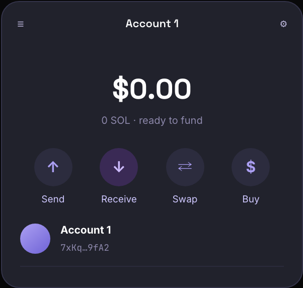 Phantom wallet home